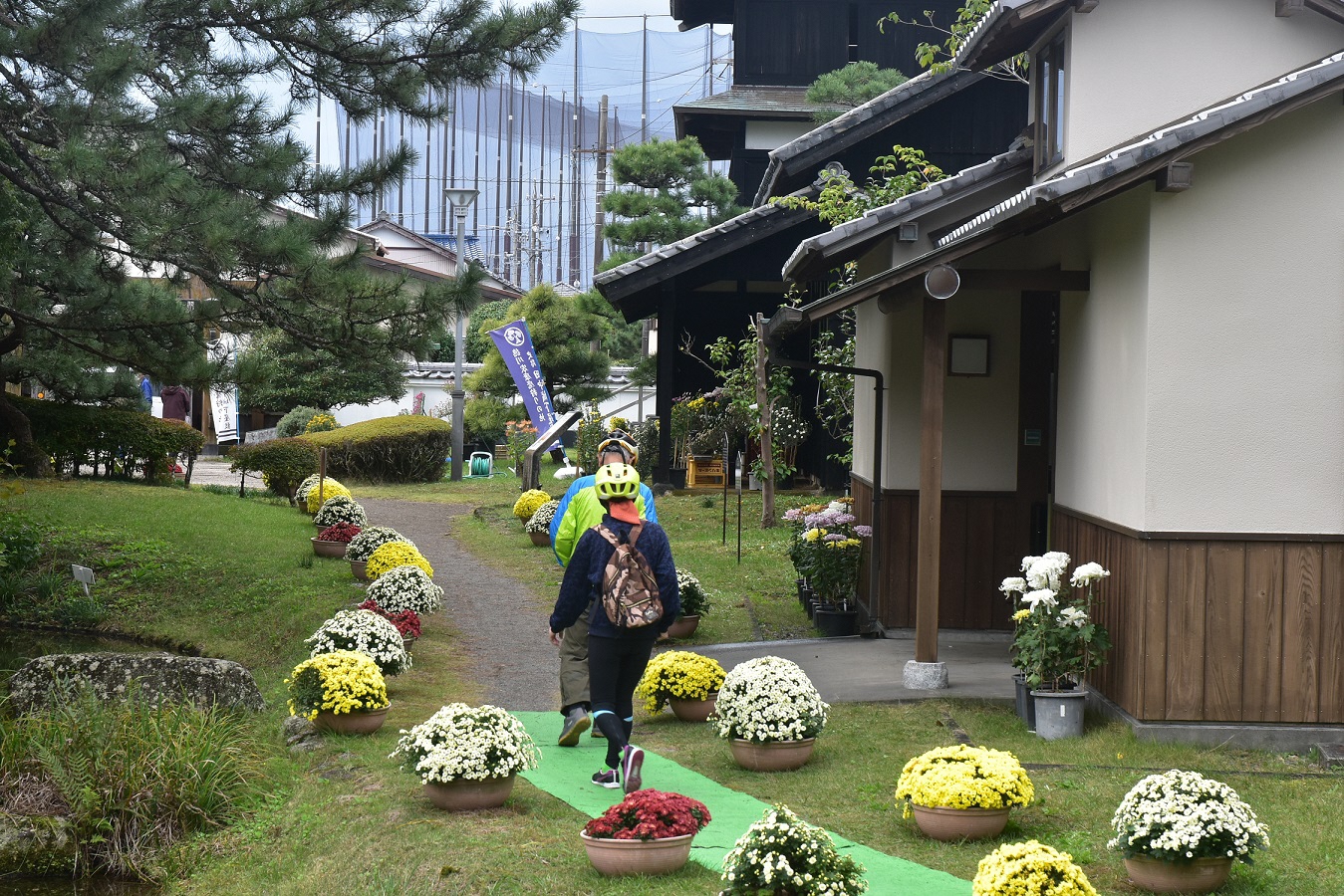 史跡田中城下屋敷藤枝菊花展