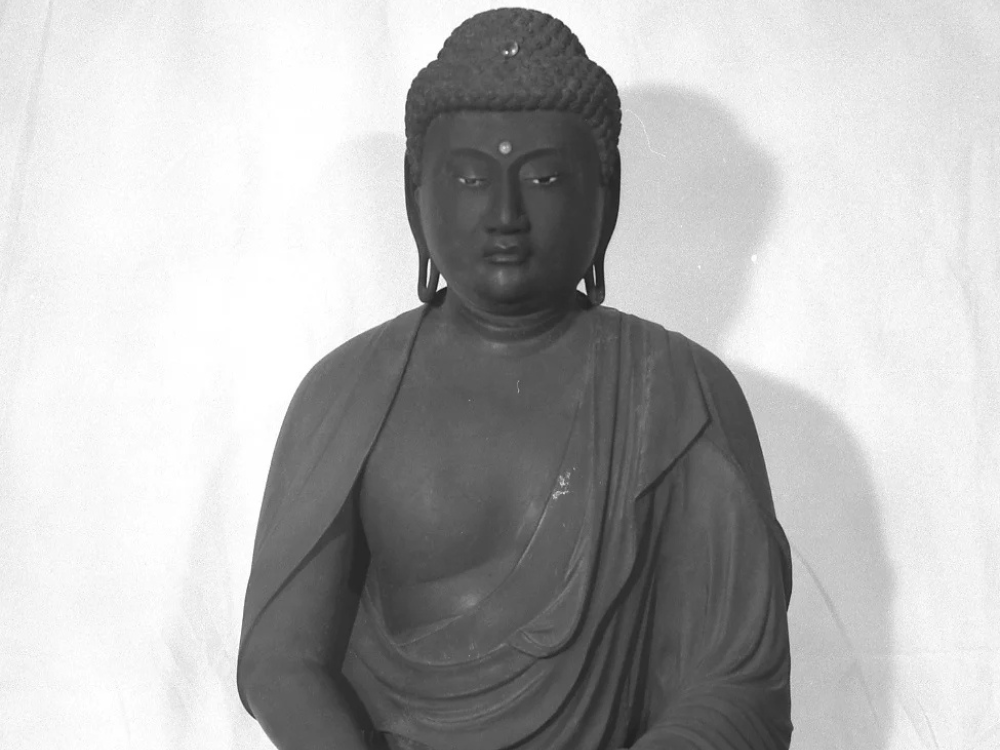 木造阿弥陀如来坐像 （北條寺）