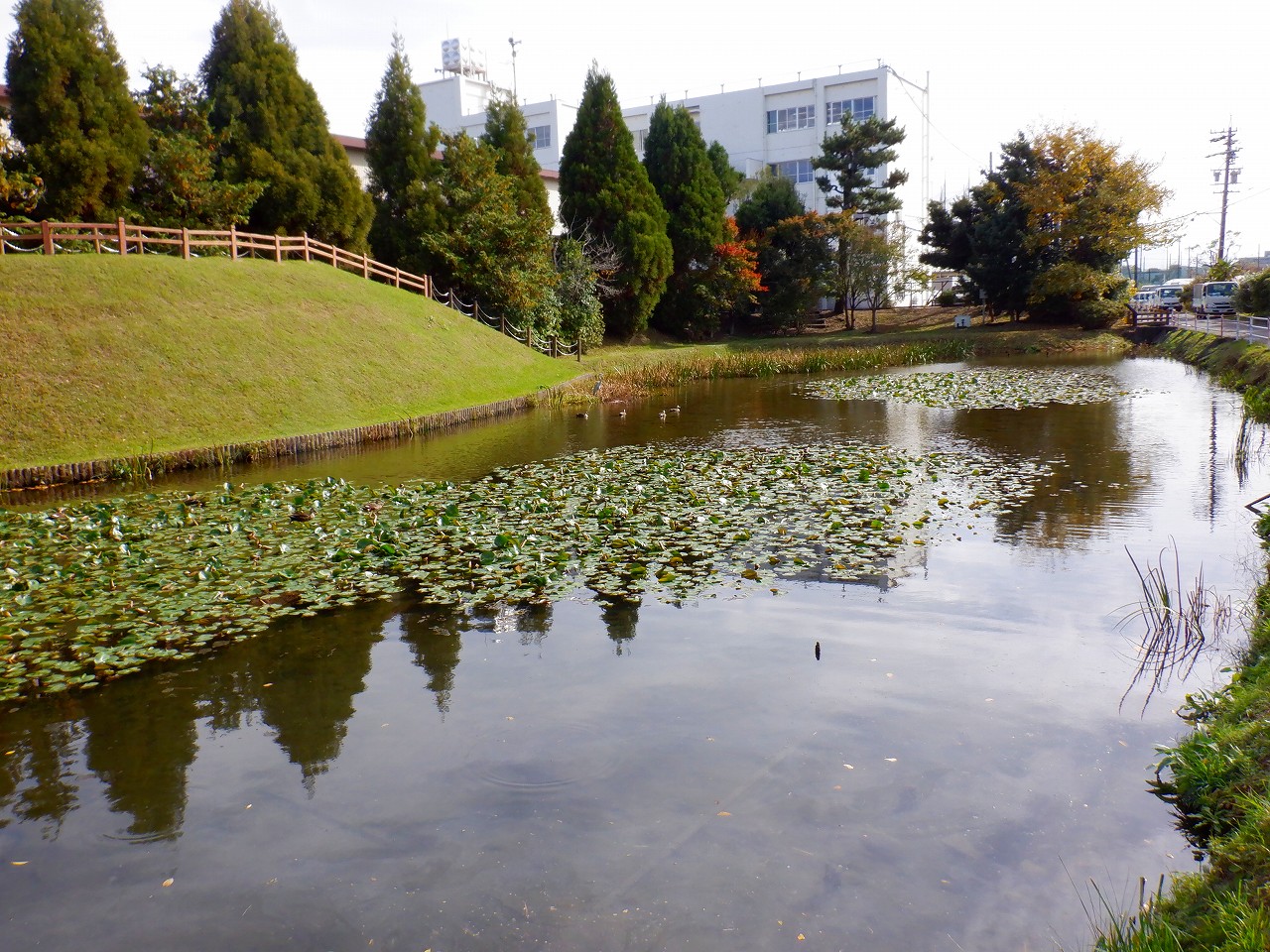 徳一色城跡（田中城址）
