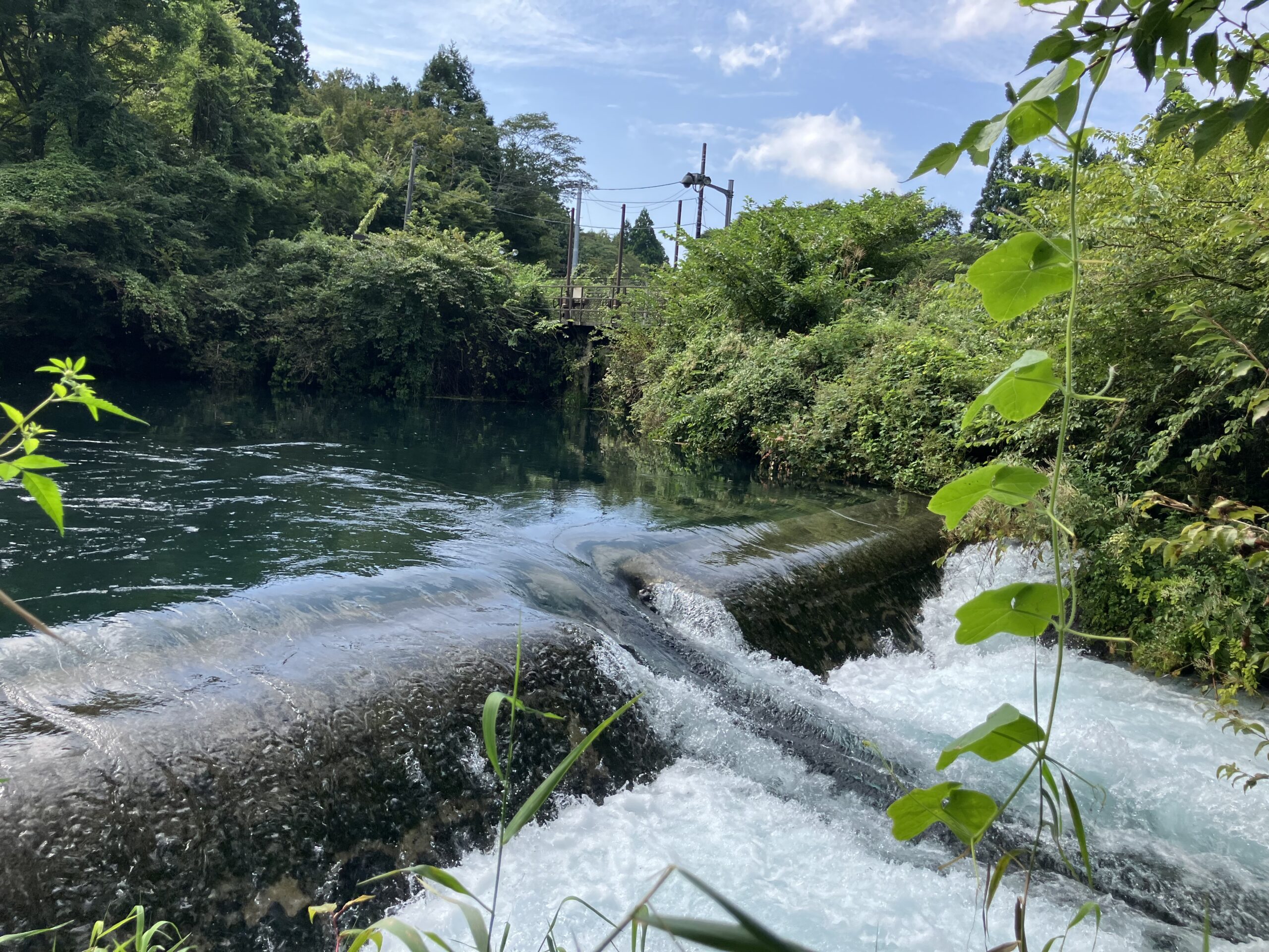 猪之頭発電所（取水口・堰堤 ）