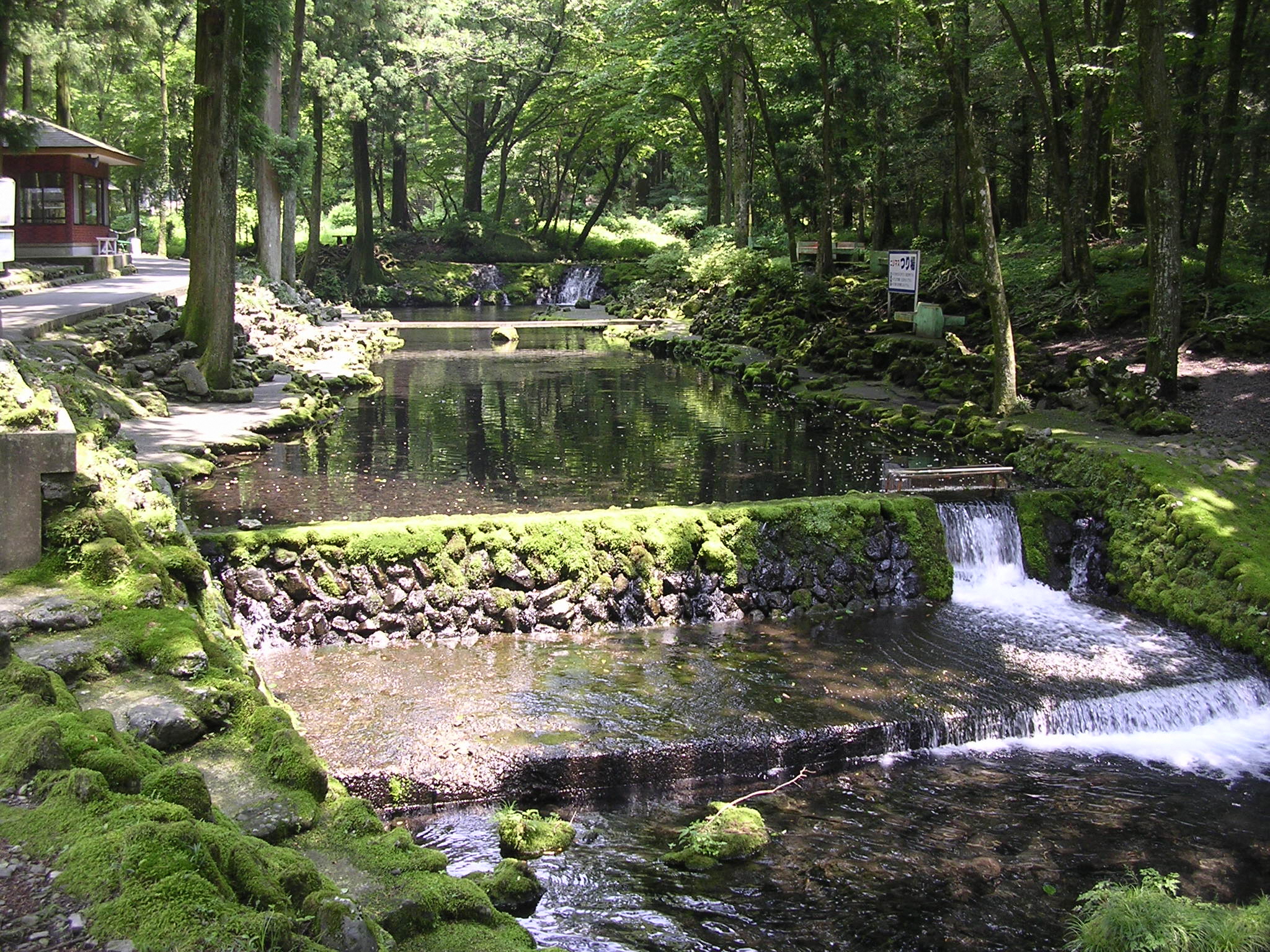 山麓の水を利用した養鱒景観