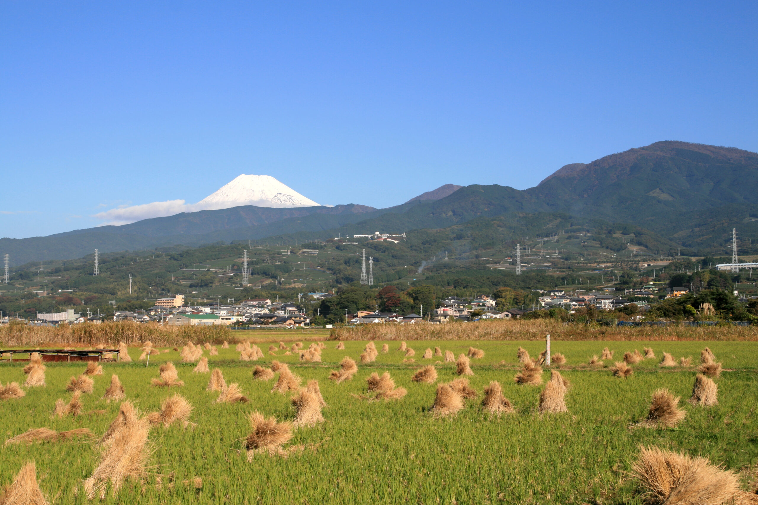 浮島沼の水田と富士山・愛鷹山
