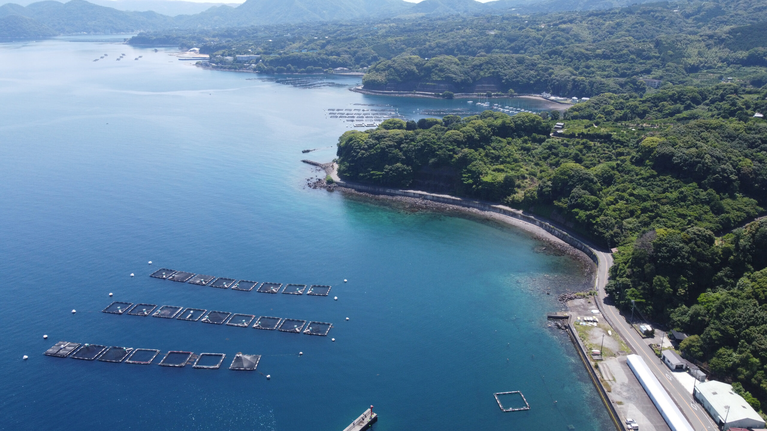 内浦・西浦の養殖いけす