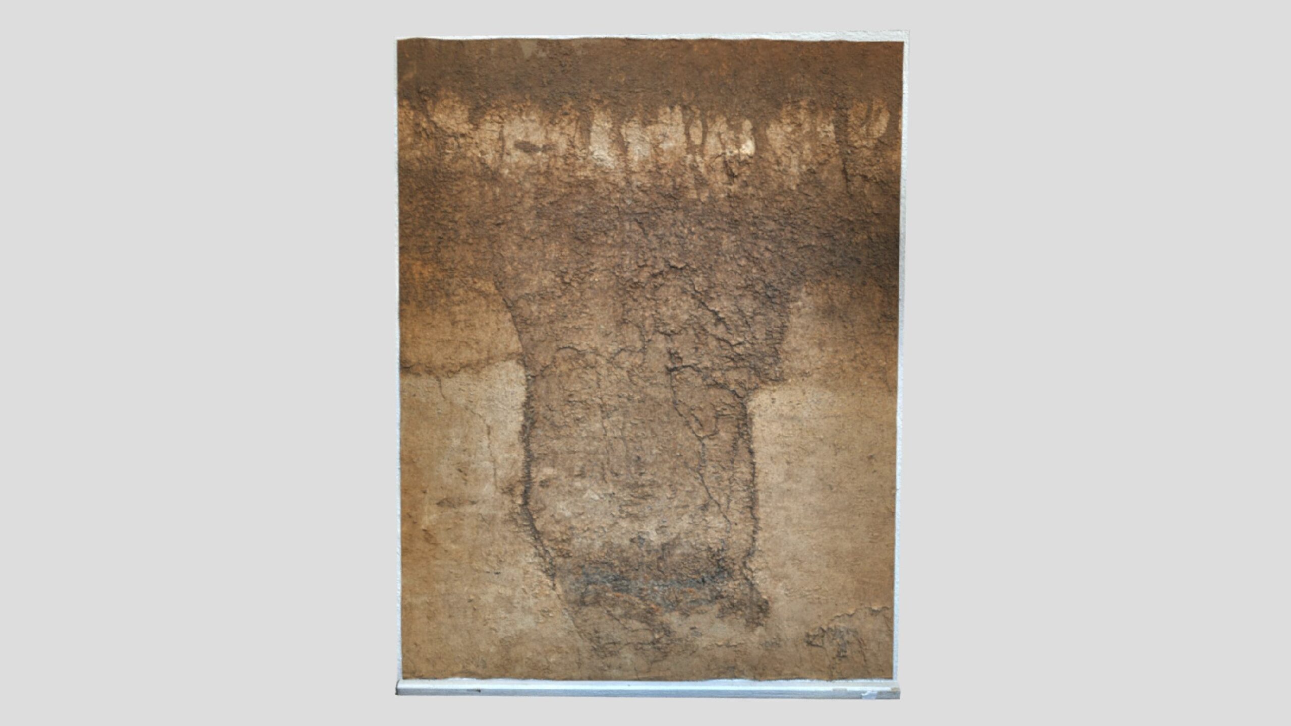 落とし穴の断面（土層はぎ取り）