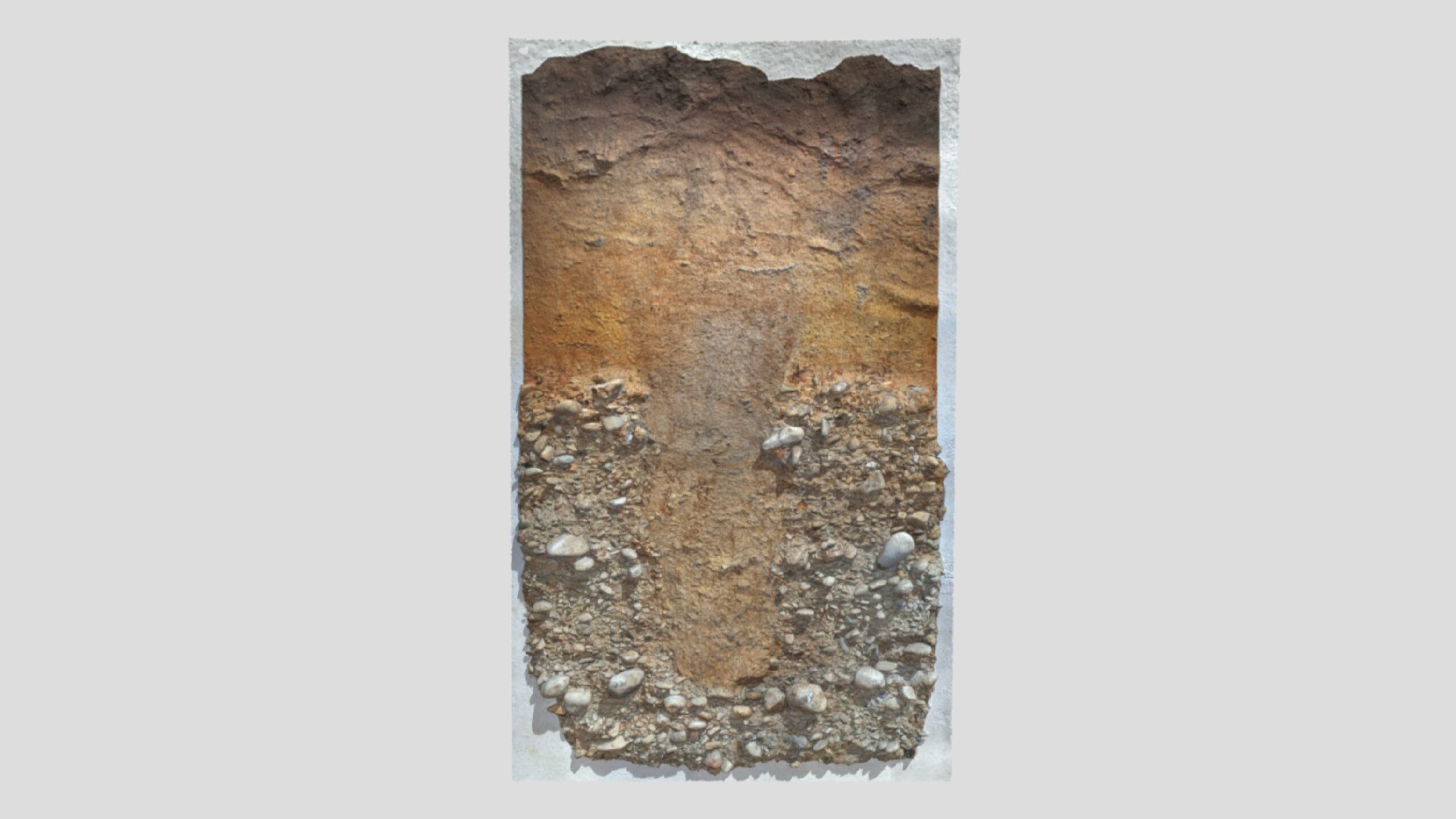 落とし穴の断面（土層はぎ取り）