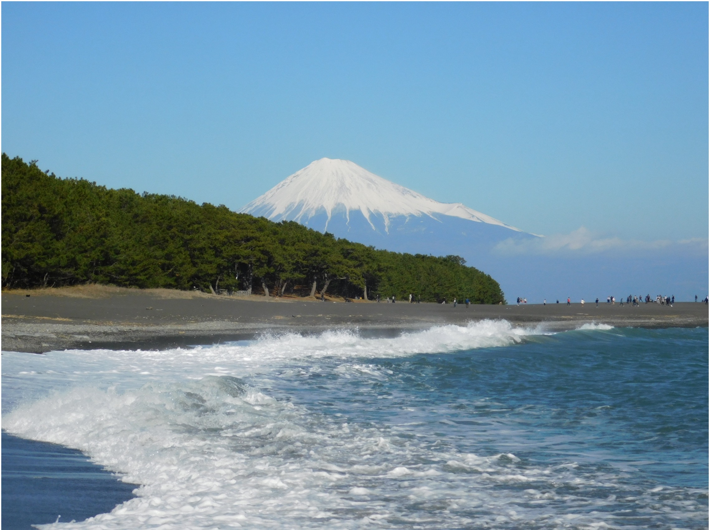 企画展Ⅱ「工芸品にみる富士山と松」